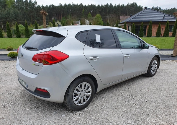 Kia Ceed cena 24900 przebieg: 144000, rok produkcji 2013 z Staszów małe 106